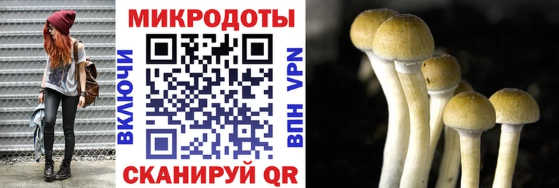 наркота кракен рабочий сайт Псилоцибиновые грибы Magic Shrooms Мирный