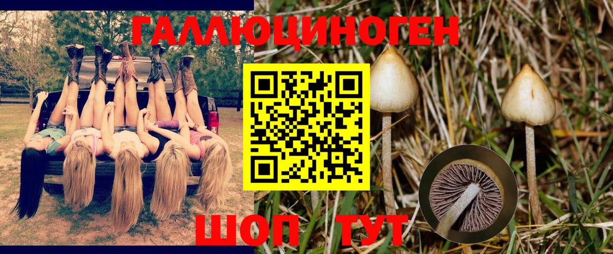 Мирный  Псилоцибиновые грибы Magic Shrooms  Галлюциногенные грибы Psilocybine cubensis  Вход с VPN 
